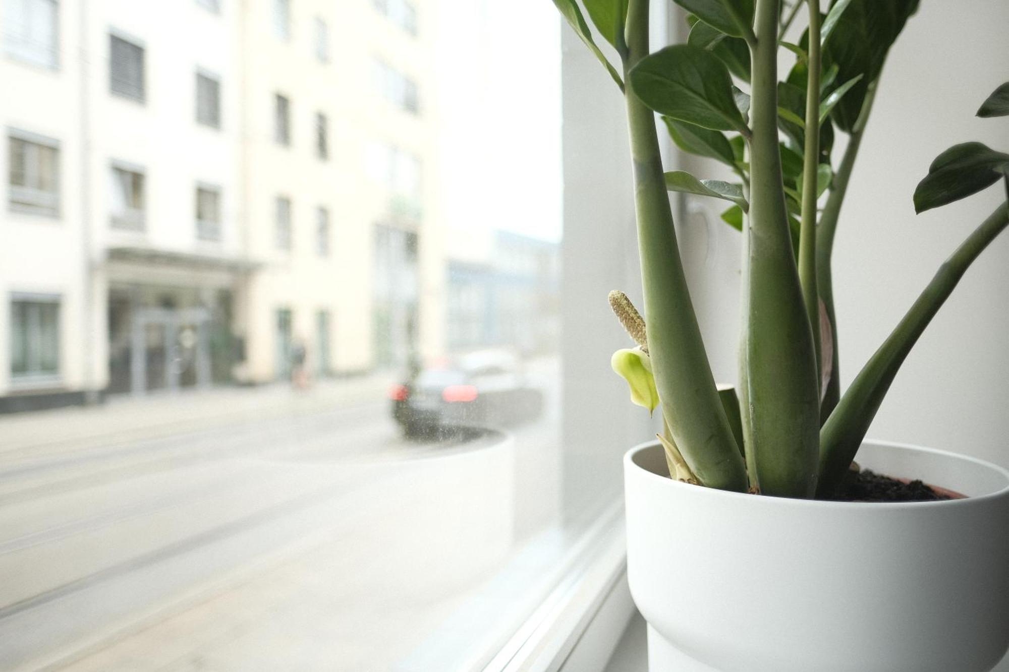 Apartments Zur Alten Konditorei Schwerin  Phòng bức ảnh